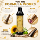 MKS eco Color Care Shampoo 296ml Sunflower Scent – Protect Prolong Hair Color Add Shine with Moroccan Argan Oil Hemp Seed Oil – Vegan Sulfate Free Cruelty Free Daily Use