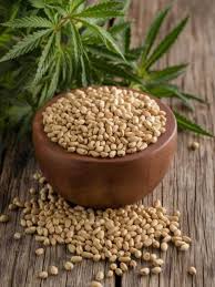 Hemp Seed Oil