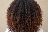 Dry, Damaged & Frizzy